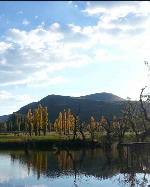 Autumn has arrived in Clarens